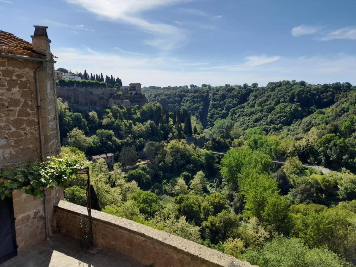 Il Gelsomino Apartment Pitigliano Zewnętrze zdjęcie