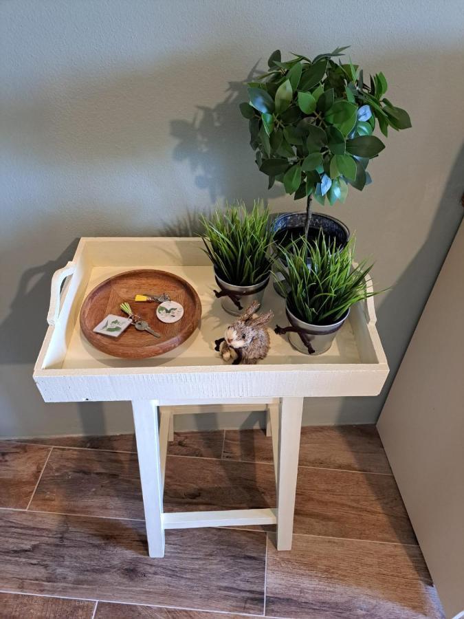 Il Gelsomino Apartment Pitigliano Zewnętrze zdjęcie