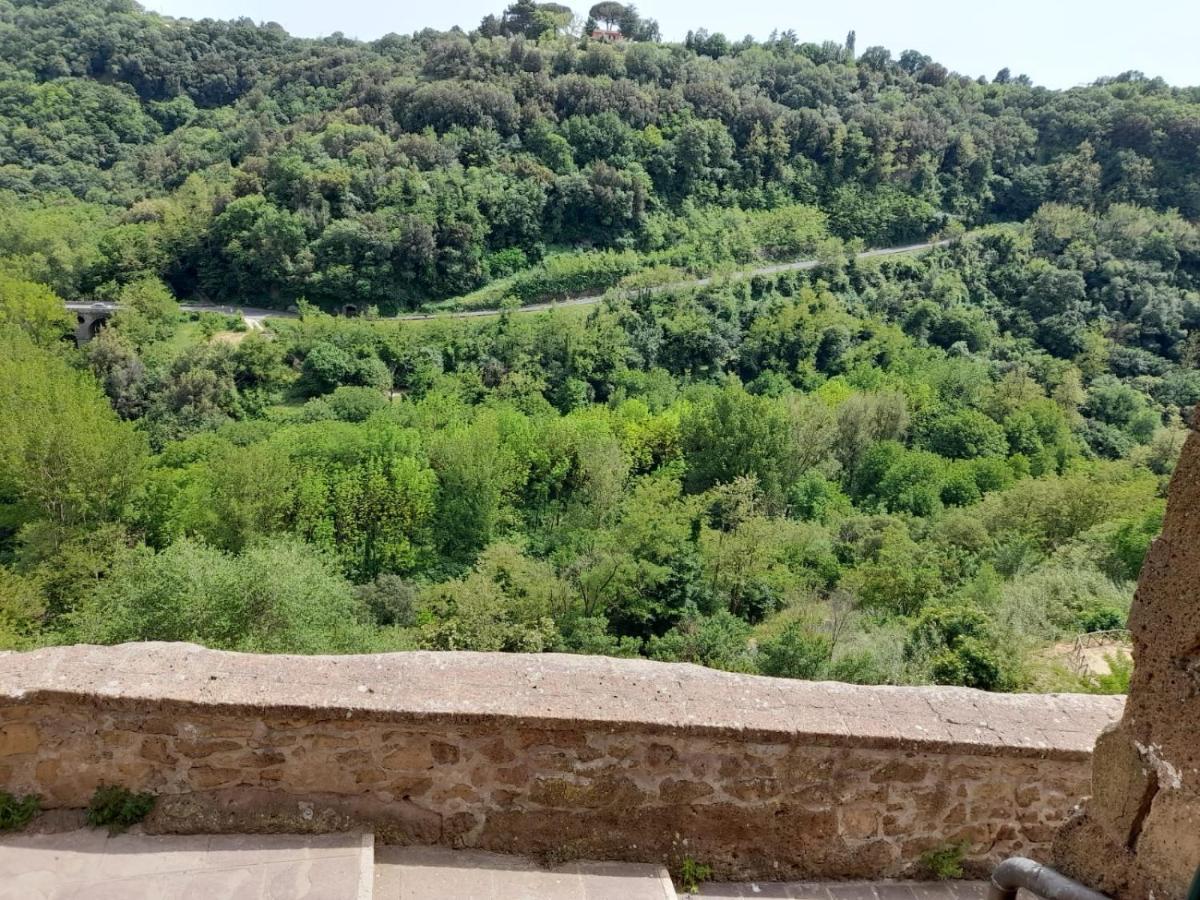 Il Gelsomino Apartment Pitigliano Zewnętrze zdjęcie